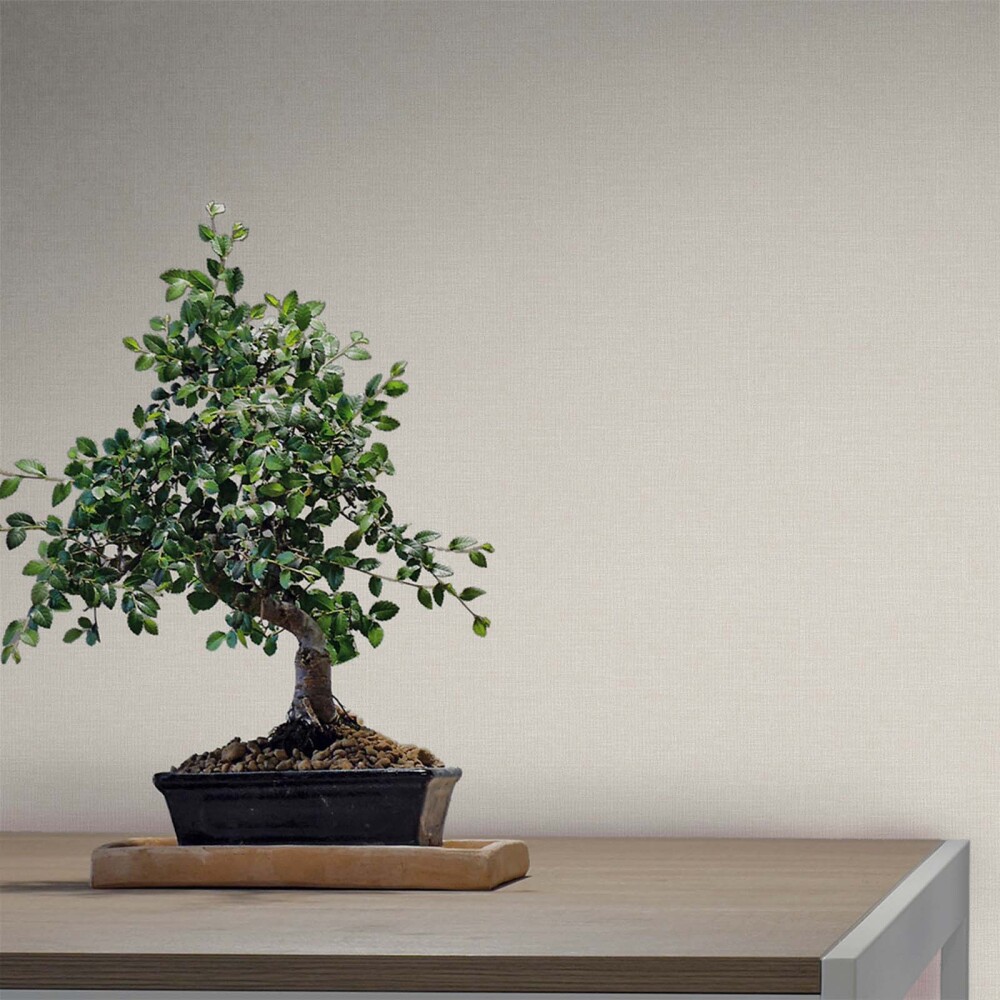 PAPEL PINTADO NAIF PLAIN PAPEL NATURAL-BEIGE 10*0,53MTS