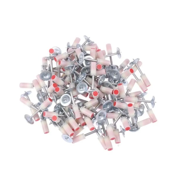 CAJA 100 CLAVOS FULMINANTES PARA PISTOLA REMACHADORA Caja 100 Clavos Fulminantes Para Pistola Remachadora