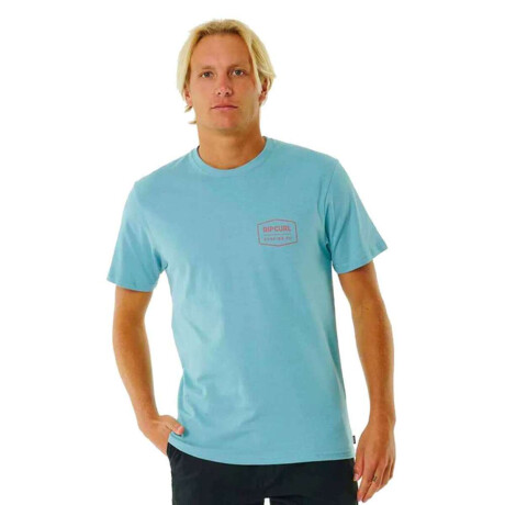 Remera Rip Curl Marking Celeste