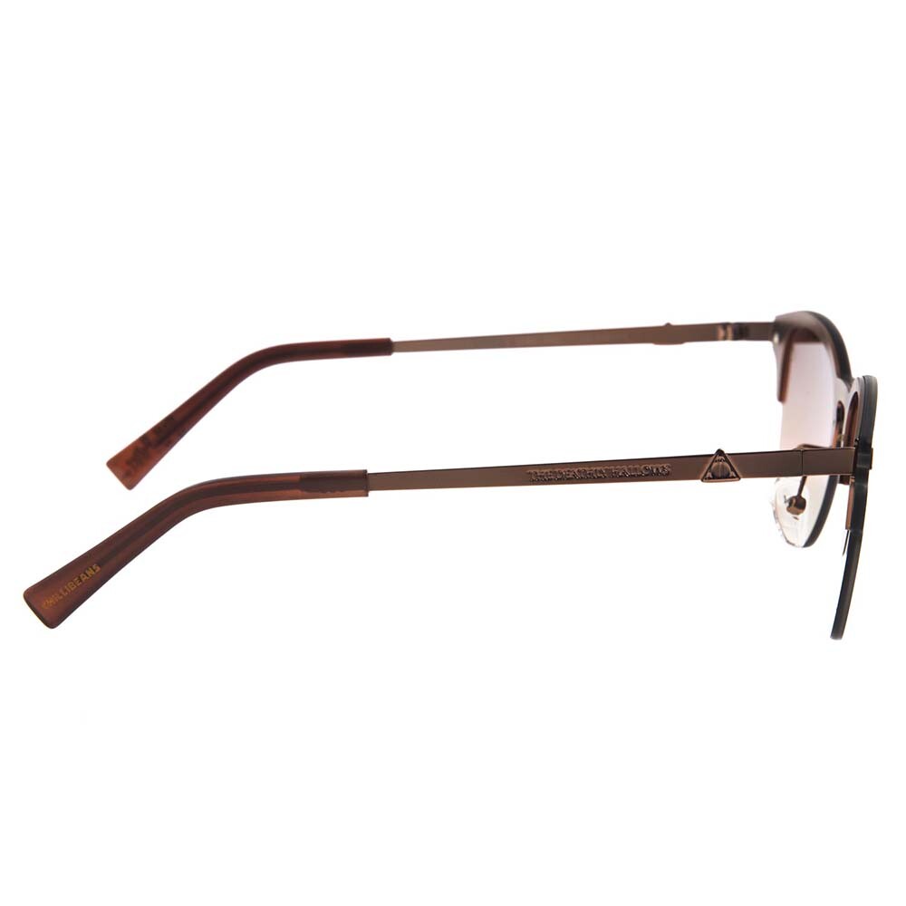 Lentes De Sol Harry Potter Jazz - Unisex Gradiente Marrón/Mate