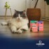 SALSA ORIGENS PARA GATOS CASTRADOS 85 GR. BOLA DE PELO POLLO Y CARNE