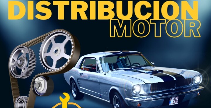 La importancia de la distribución en tu auto