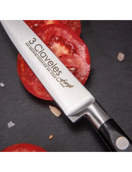 CUCHILLO VEGETALES 10CM C/ PVC MANGO NEGRO FORGE 3 CLAVELES CUCHILLO VEGETALES 10CM C/ PVC MANGO NEGRO FORGE 3 CLAVELES