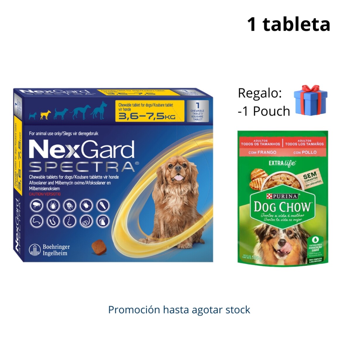 Nexgard spectra s hot sale