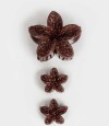 Set De Broches Flor Hawaiana Marron Chocolate