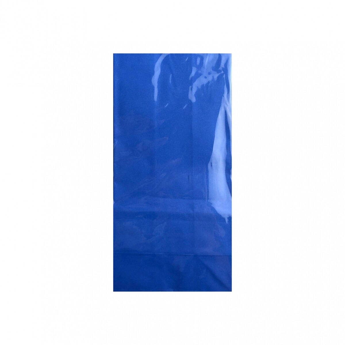 Bolsa de Papel Chica S/Asa x 10 - Azul 