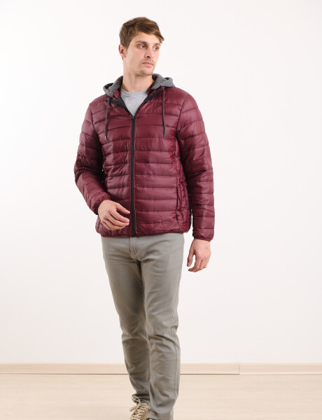 300210 CAMPERA HARRINGTON URBAN Bordo