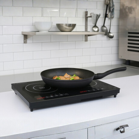 Anafe de Inducción Doble Anafe de Inducción Doble