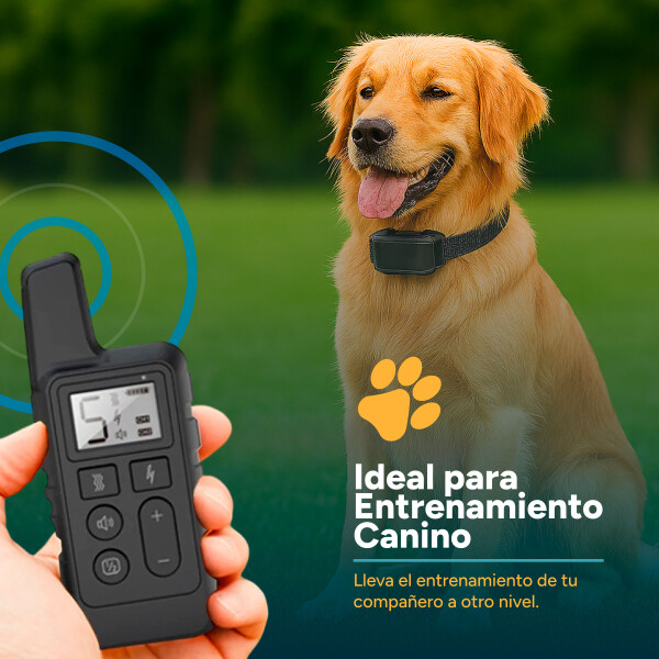 Collar Antiladridos Control Remoto Sumergible Entrenamiento Variante Color Negro