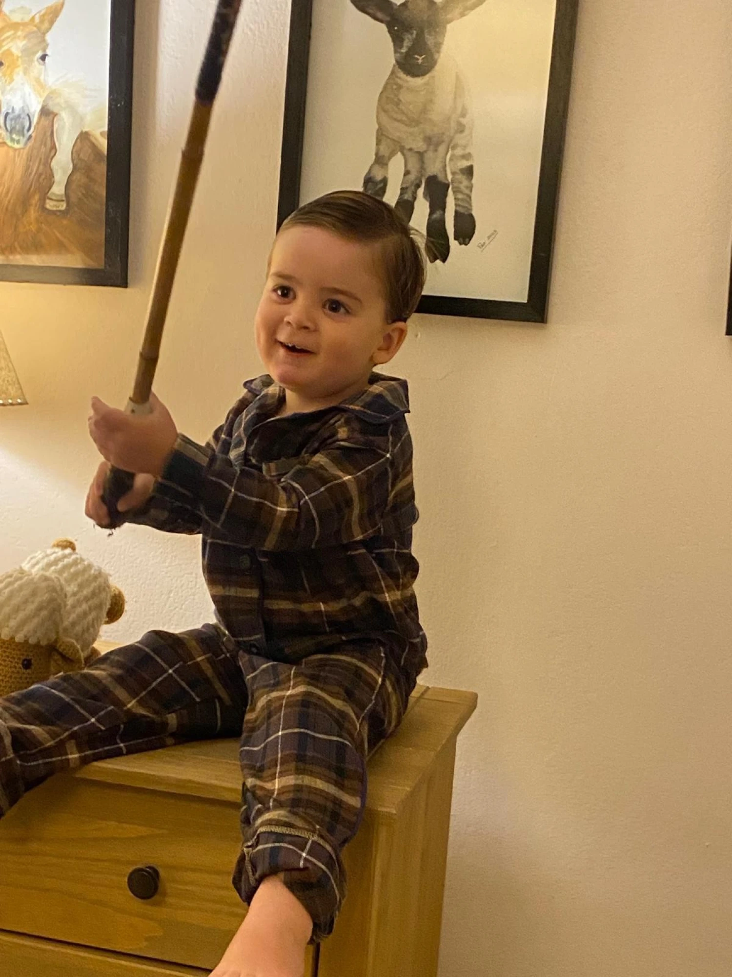 Mini Sleepwalker