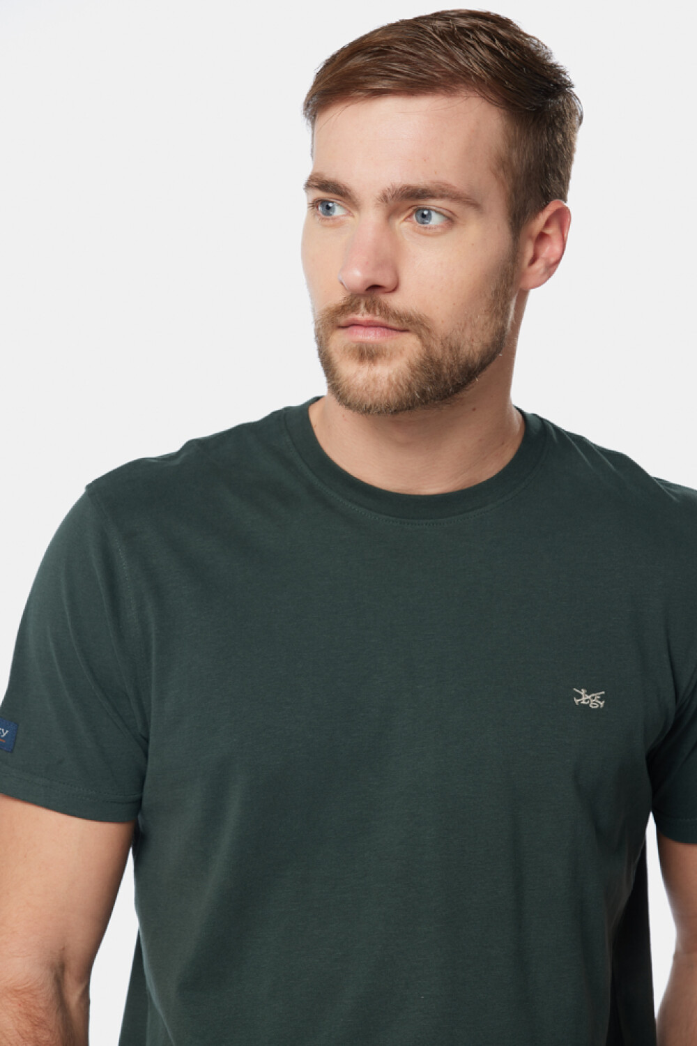 REMERA LISA DE ALGODÓN Verde