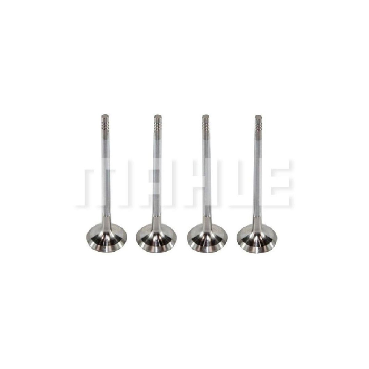 JUEGO DE VALVULAS DE ESCAPE (STD) X4 