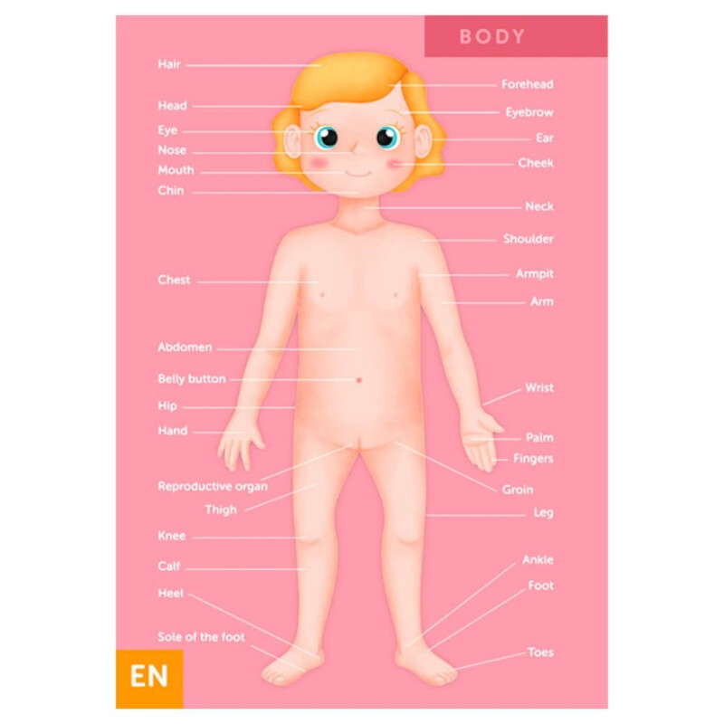 Puzzle Gigante 100 pzas Cuerpo Humano- Eureka Puzzle Gigante 100 Pzas Cuerpo Humano- Eureka