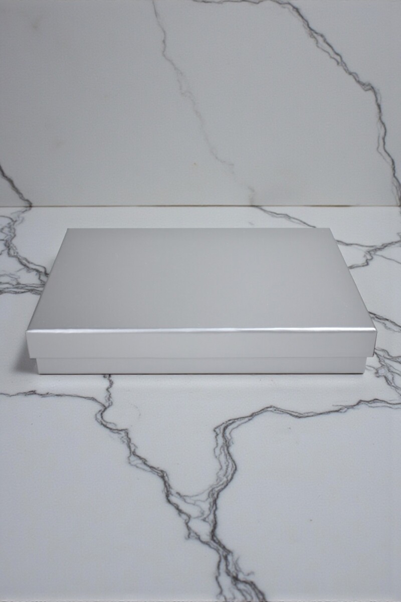 Caja Rigida 33,5 x 43,5 x 9,5 - PLATA 