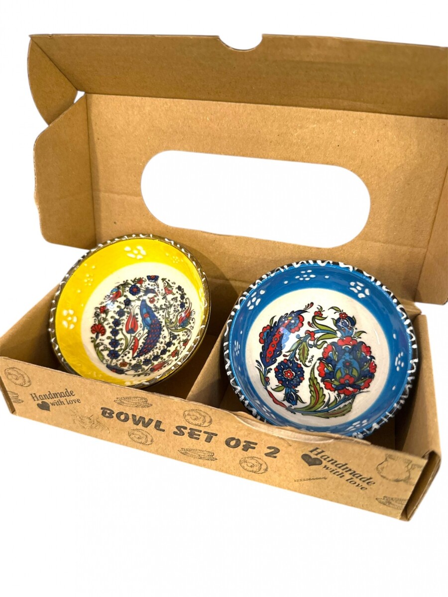 SET BOWLS X2 - AMARILLO Y TURQUESA 
