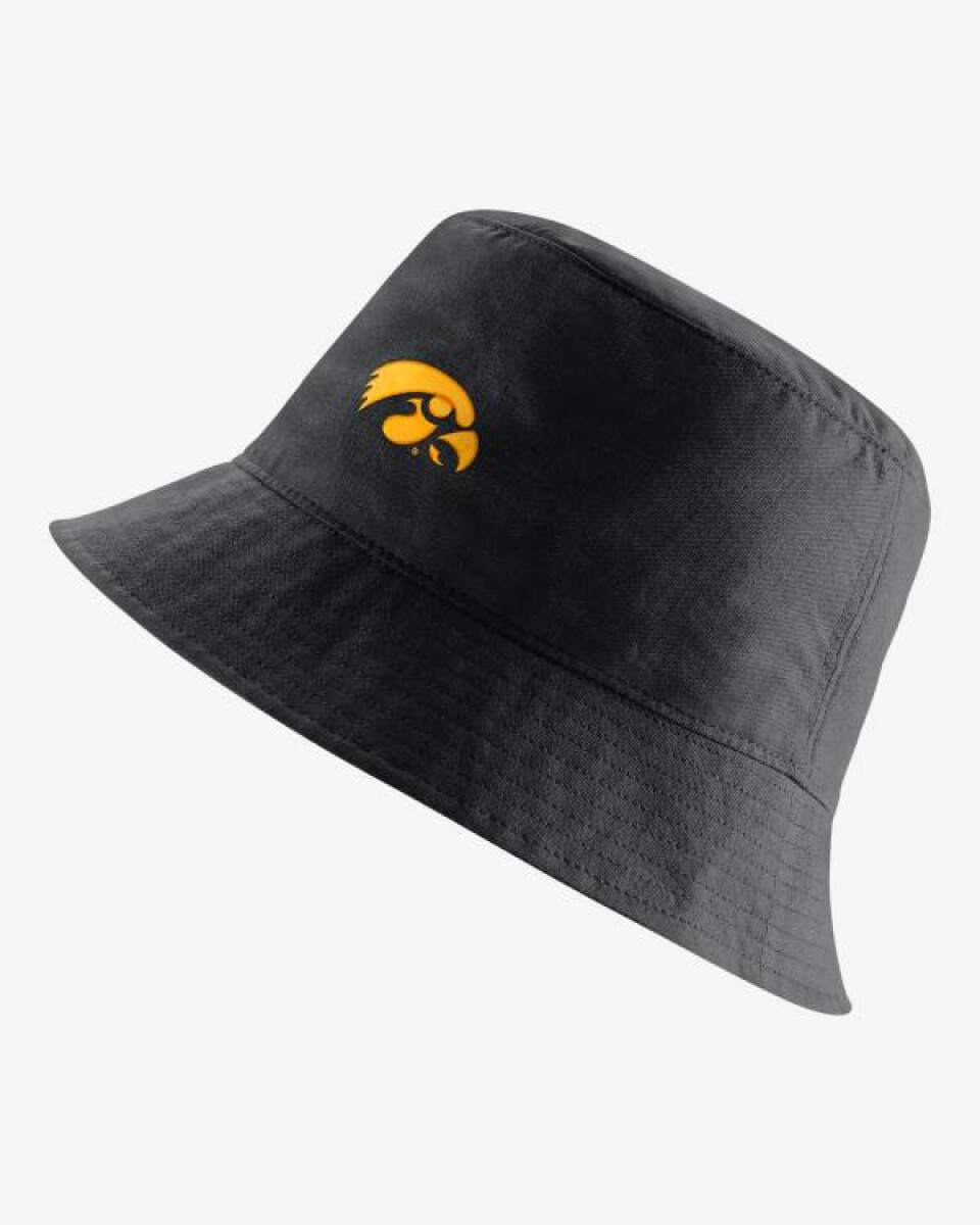 Nike College (Iowa) 