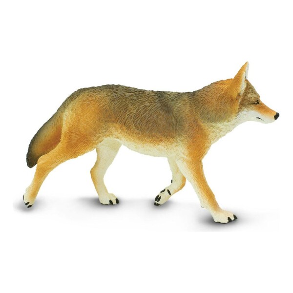 Coyote Grande Mamifero Safari Colección Escala Niño Coyote Grande Mamifero Safari Colección Escala Niño