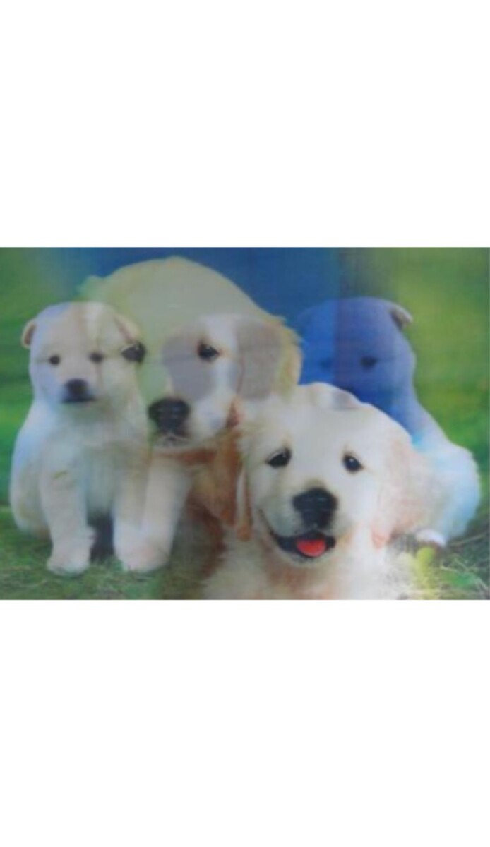 LAMINAS 3D 25X35 (CHICA) C/U 