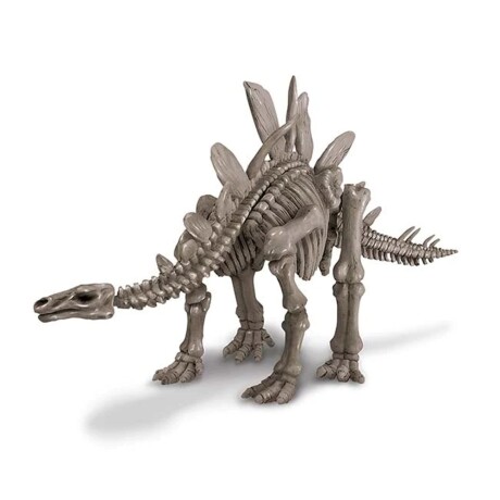 Juego Educativo 4M Excavación del Esqueleto Estegosaurio Beige