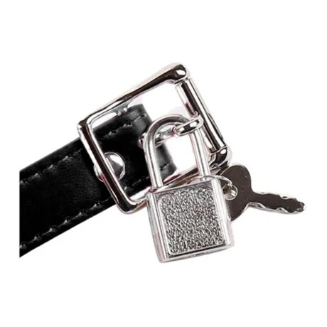 Mordaza Con Bola Para Boca Y Candado Mordaza Con Bola Para Boca Y Candado