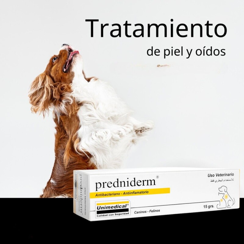 PREDNIDERM CREMA ANTINFLAMATORIA 15 G PREDNIDERM CREMA ANTINFLAMATORIA 15 G