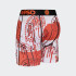 Calzoncillos PSD Rusty Bandana Drip Multicolor