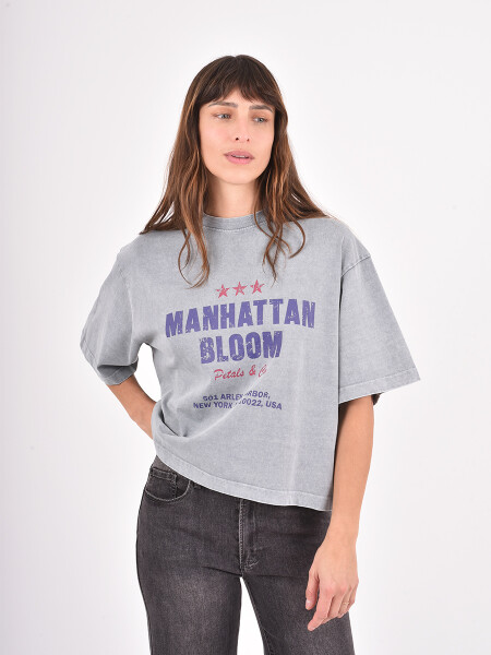 REMERA BOXIRA GRIS