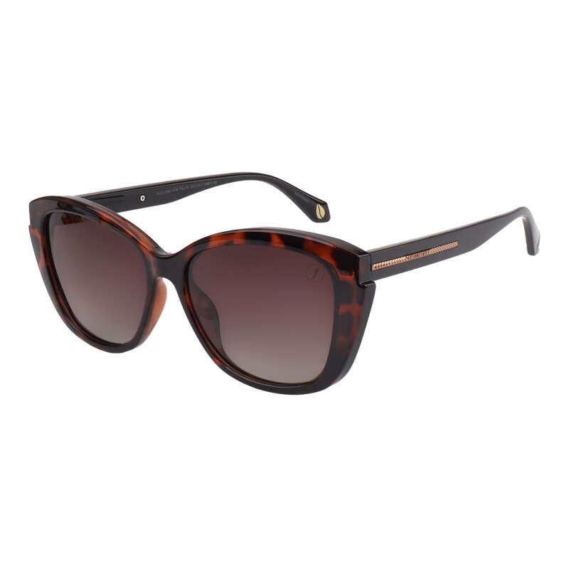 Lentes de Sol Chilli Beans California Animal Print