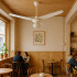 Ventilador De Techo Kassel Comercial C/luz 5 Vel 3 Aspas VENTILADOR DE TECHO KASSEL 56'LUZ VT561L