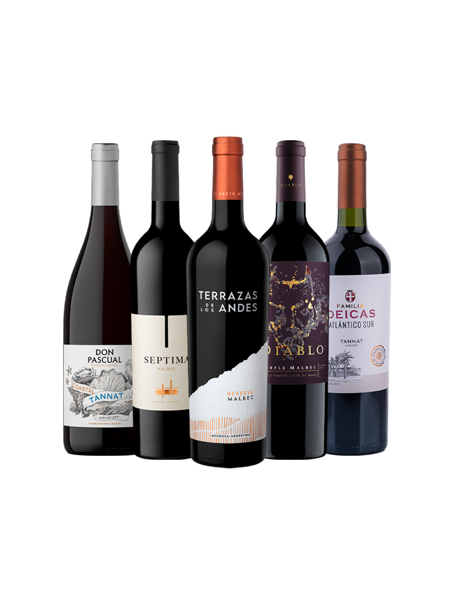 Pack Bacán Selección Mix de Cepas Protagonistas x5 vinos Pack Bacán Selección Mix de Cepas Protagonistas x5 vinos
