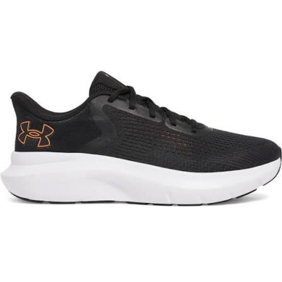 Calzado Under Armour 3028256-003 