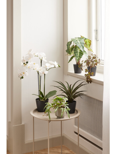 Planta artificial MARIUS Ø38xA42cm Planta artificial MARIUS Ø38xA42cm
