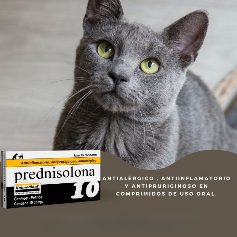 PREDNISOLONA 10 MG X CAJA DE 10 COMPRIMIDOS PREDNISOLONA 10 MG X CAJA DE 10 COMPRIMIDOS
