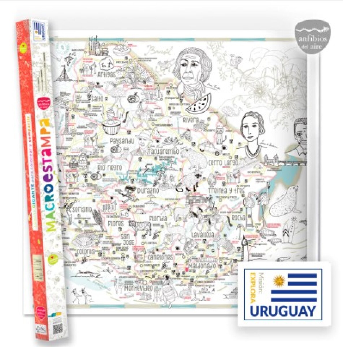 Macro Explora Uruguay papel blanco - Anfibios del aire 