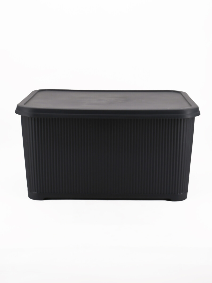 CAJA ORGANIZADORA CON TAPA - GRIS 
