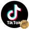 Lámina Tik Tok Logo Negro Red.