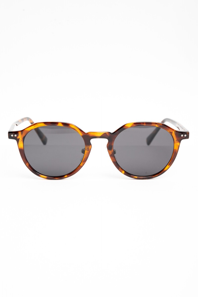 Lentes De Sol Polarizados Marron