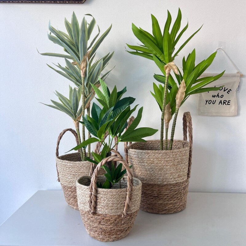 Planta artificial decorativa Planta artificial decorativa