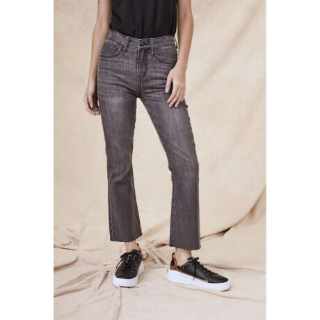 Flare Denim Gris