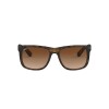 Ray Ban Rb4165 710/13