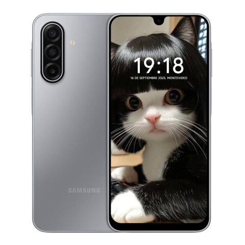 Samsung Galaxy A17 4/128gb 4g GRIS
