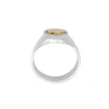 Anillo Profesión Asistente social-Plata y Oro-Sin Piedra-AP5002 sinpiedra