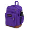 Cool Student Party Plum
