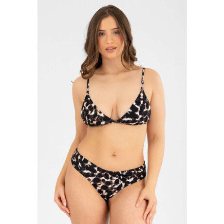 Triangulo rory est. Montes