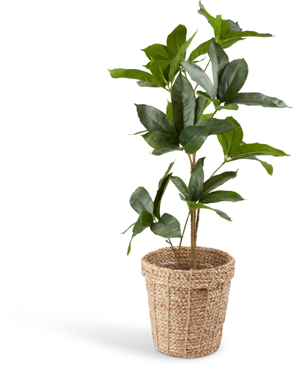 Maceta ERIK Ø25xA24cm natural 