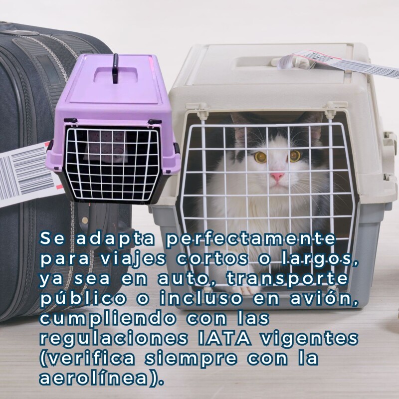 TRANSPORTADORA ATLAS 10 LILA