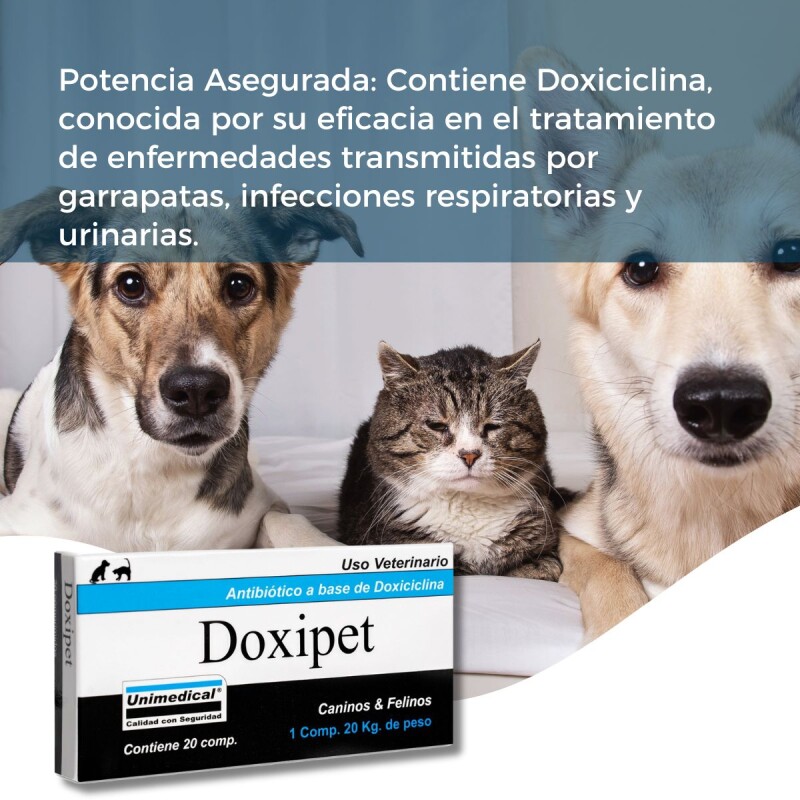 DOXIPET ATIBIÓTICO PARA PERROS Y GATOS CAJA 20 COMPRIMIDOS DOXIPET ATIBIÓTICO PARA PERROS Y GATOS CAJA 20 COMPRIMIDOS