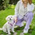 Correa Extensible 3 Mts Retractil Hasta 15Kg Perro Mediano Variante Color Rosa Violeta