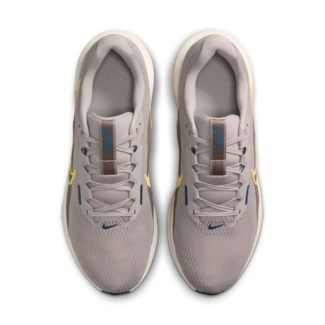 Championes Nike Downshifter 13 de Hombre Gris