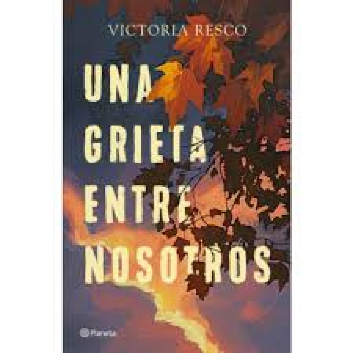UNA GRIETA ENTRE NOSOTROS 
